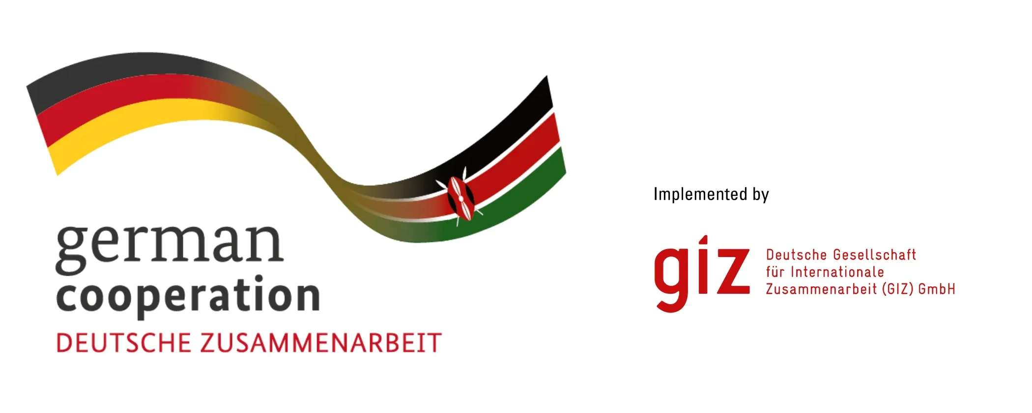 GIZ Logo placement (2)